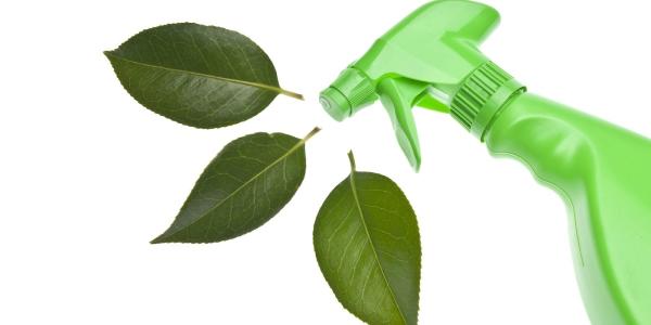 I Care Cleaning Services