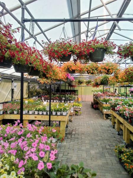 Denny McKeown's Bloomin' Garden Centre & Landscape