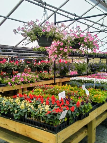 Denny McKeown's Bloomin' Garden Centre & Landscape