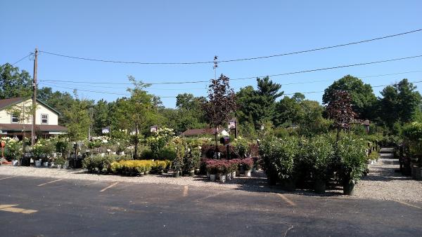 Denny McKeown's Bloomin' Garden Centre & Landscape