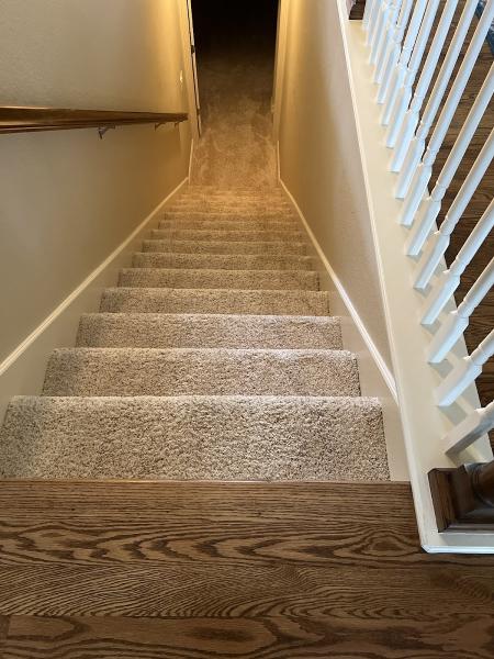 Denver Pros Cleaning Services
