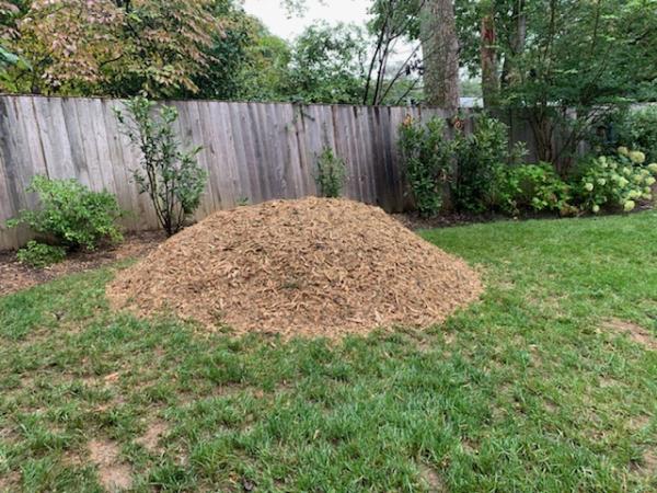 Avalos Landscaping LLC