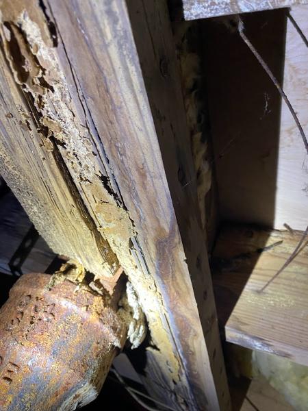 Huntsville Home Inspection