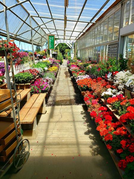 Home Grown Gardens Nursery and Landscape