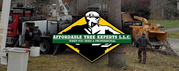 Affordable Tree Experts LLC
