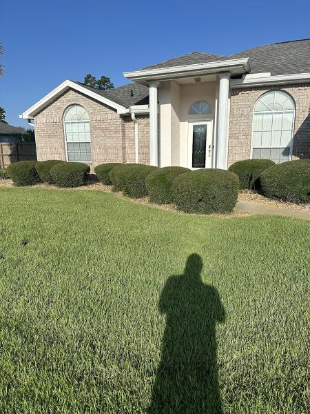 Lawn Dog Landscaping
