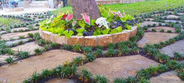 Rogue Landscaping