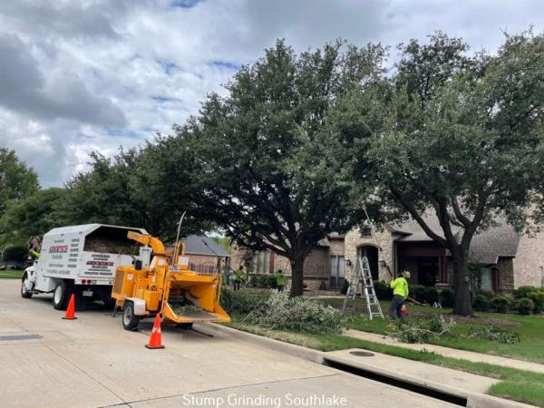 Arbortech Tree Service