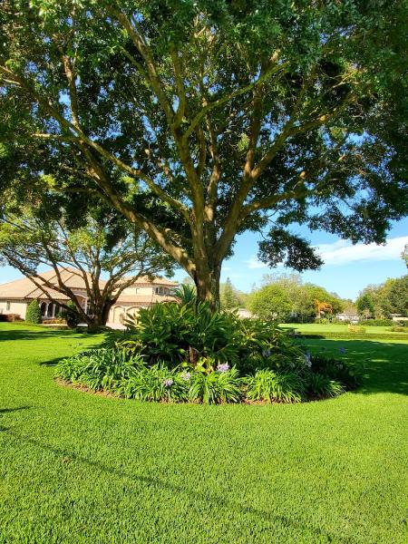 JP Landscaping Management