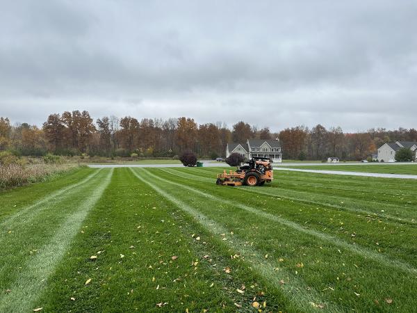 Bastian Lawn and Landscape