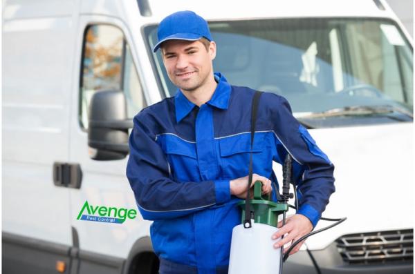 Avenge Pest Control