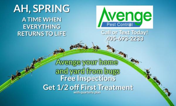 Avenge Pest Control