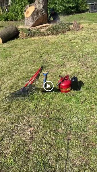All Pro Huntsville Tree Service