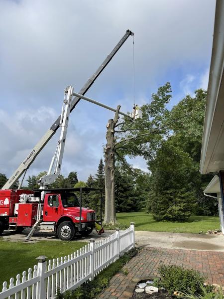 Richard's Tree & Crane Service