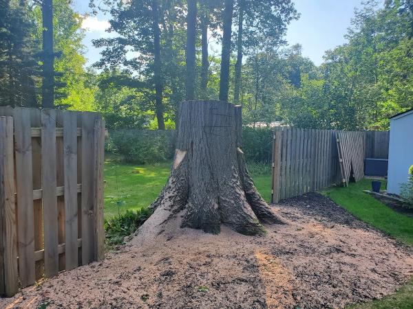 Richard's Tree & Crane Service