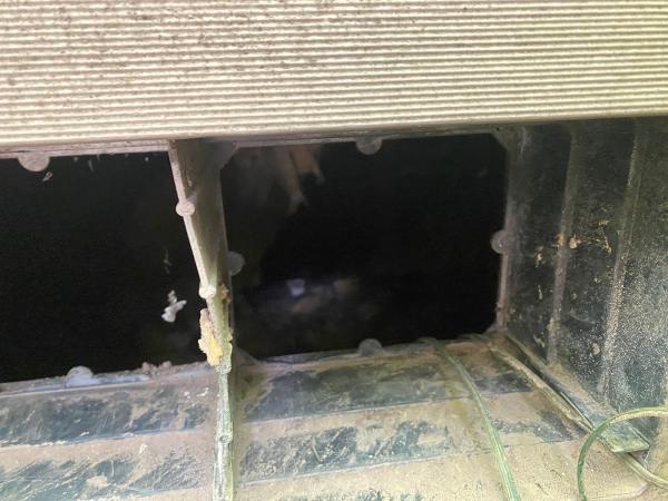 Vanquish Pest Management