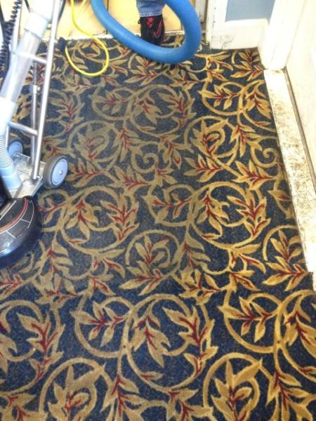 Sonrise Carpet Care