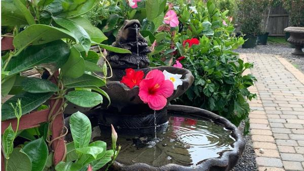 Enchanted Gardens