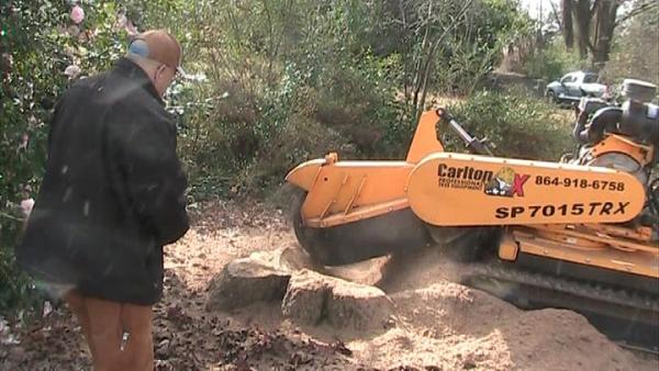 Stump Grinding Asap