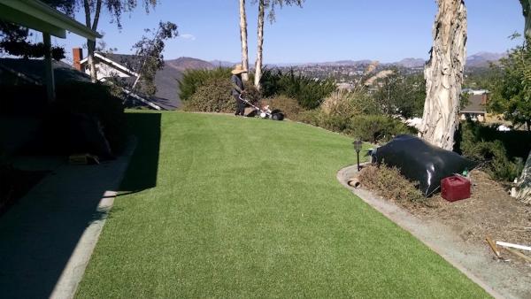 Water Wise Grass