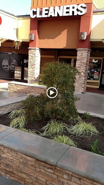 Divine By Design Custom Concrete & Landscaping