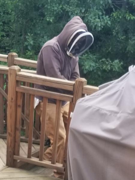 Bee Be Gone