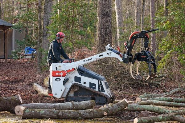 Dave's Tree Service