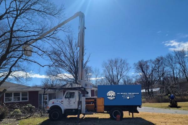 All Season Tree Service
