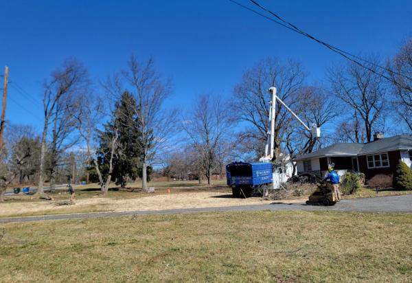 All Season Tree Service