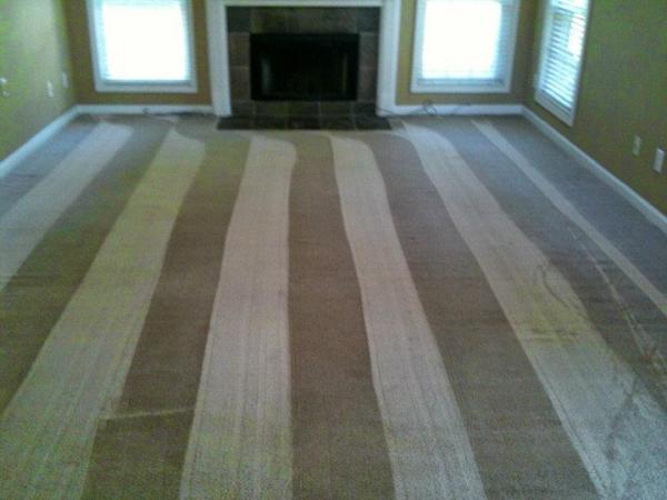Citrusolution Carpet & Hardwood Cleaning