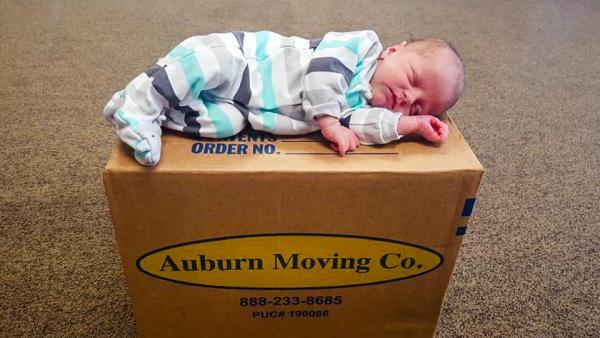 Auburn Moving & Storage