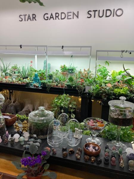 Star Garden Studio