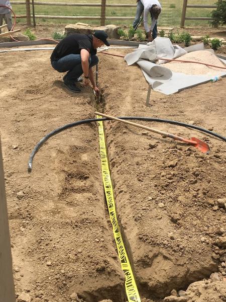 Lion Rooter & Sewer