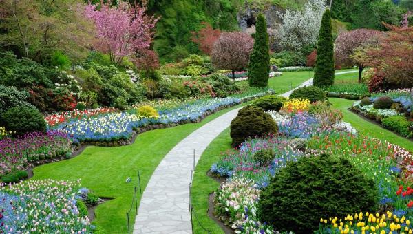 P.A. Landscaping & Lawn Services Inc.