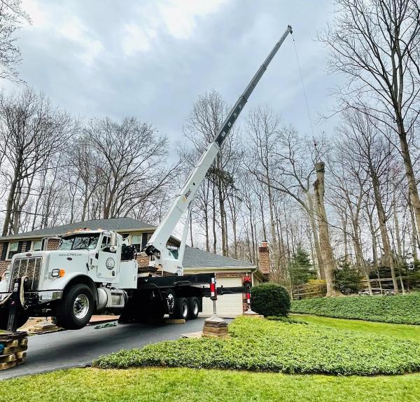 JL Tree Service Inc