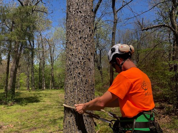 Trufast Tree Service