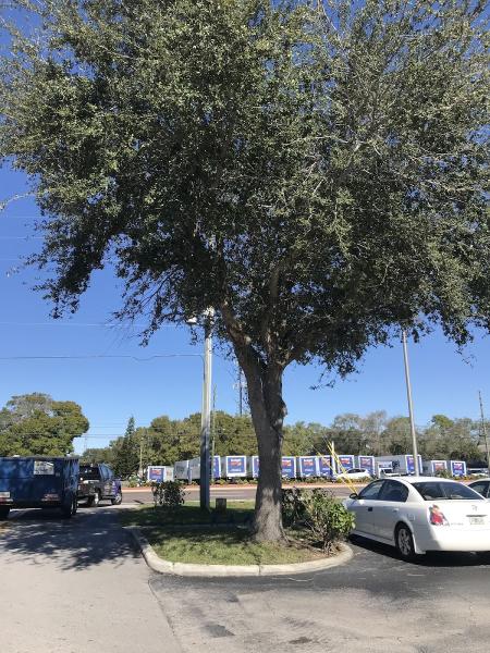 Out Fox LLC Tree Service
