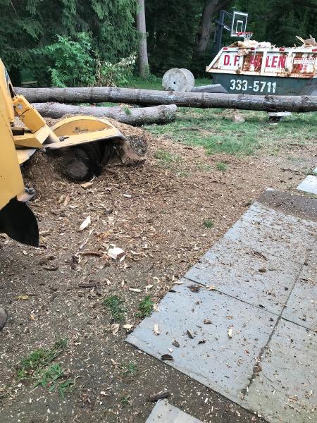 Conserv-a-Tree