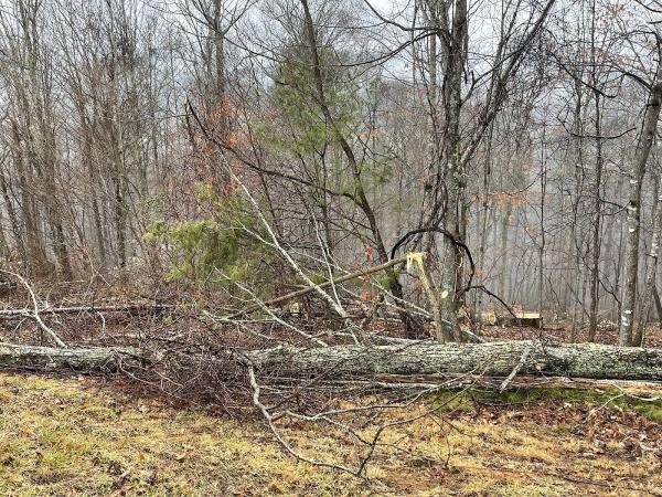 Tri-Cities Tree Service