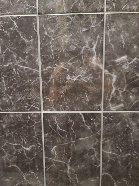 Pro-Line Tile Distributors