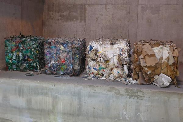 Evergreen Fiber Sales