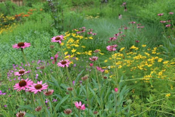 Andrew Marrs Garden Design