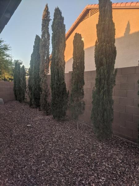 Druwest Landscape Management Llc.