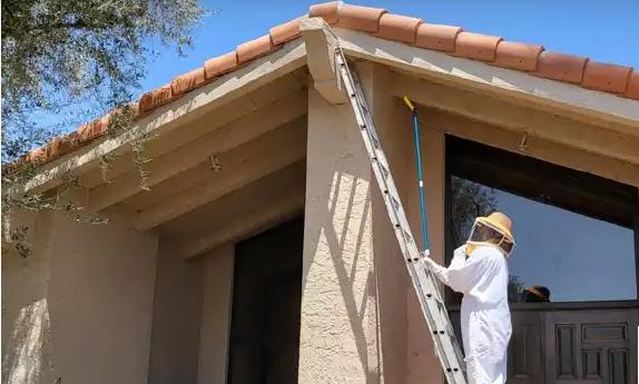 Desert City Pest Control LLC