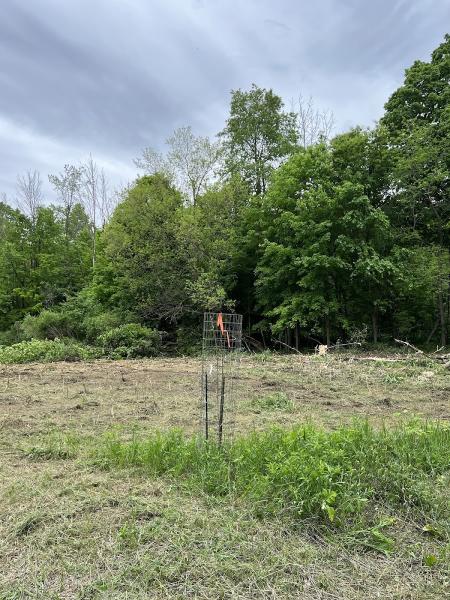 Top Chop Tree Service & Land Management