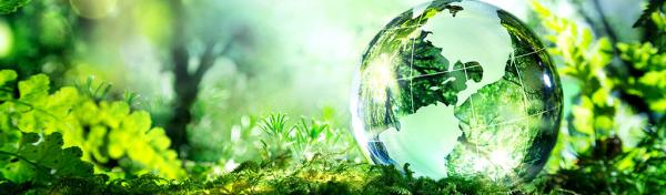 Elite Environmental