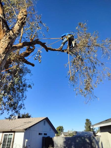 2 Brothers Landscape LLC