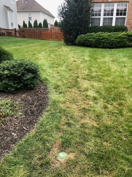 Exterior Waterproofing Experts