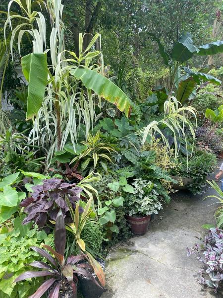 Big Little Gardens Aka BLG Landscapes