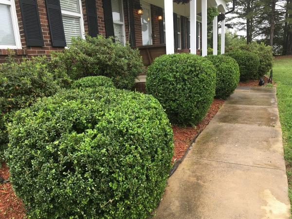 Floorscape Home & Landscaping